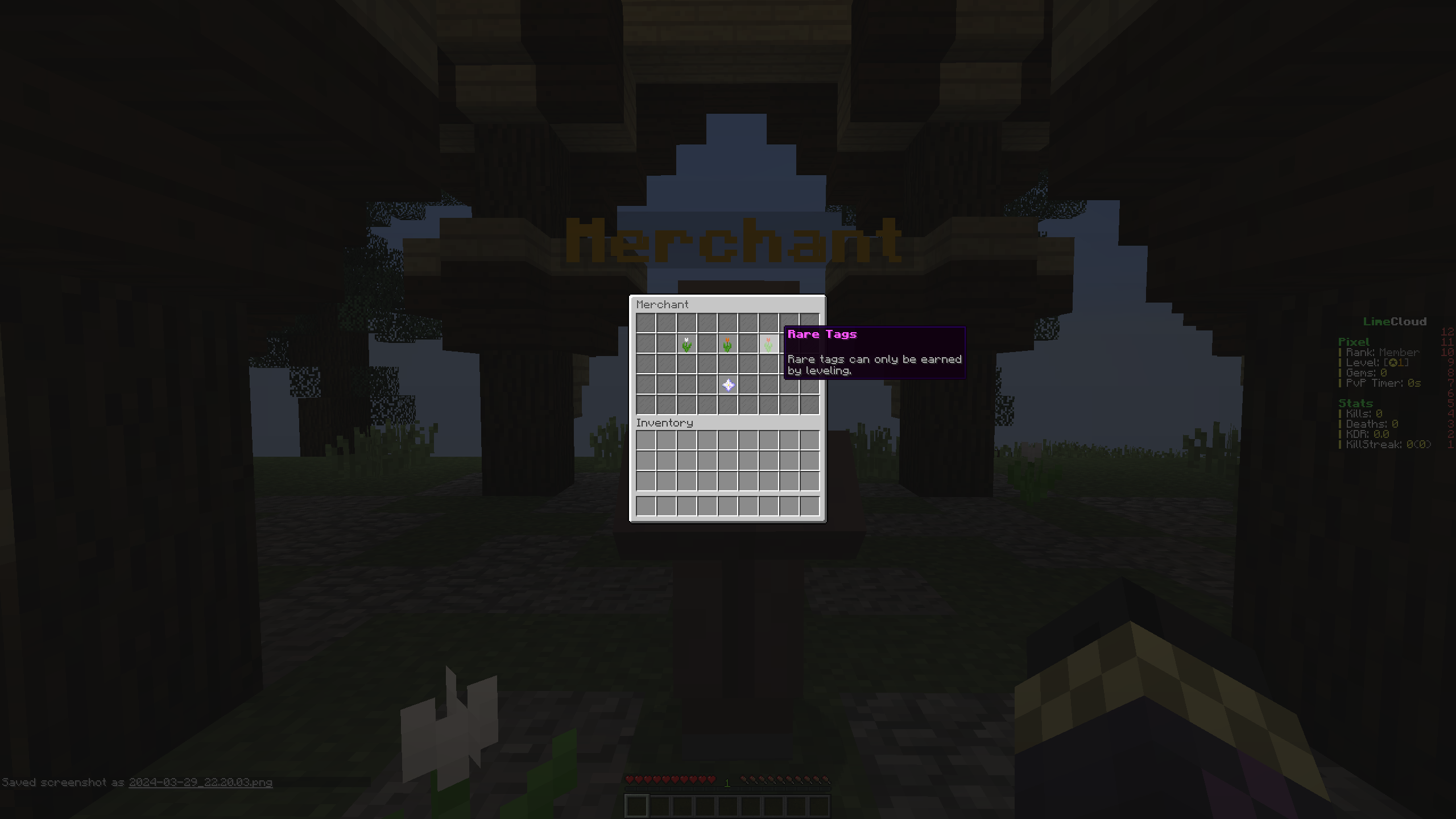 2024-03-29_22.20.11.png