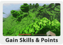skills.gif