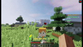 SPT8drT.gif