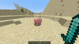 90cs20y.gif