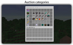 auction2.gif
